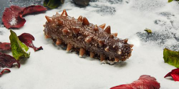 怎樣快速的區(qū)分淡干海參、鹽干海參和凍干海參？