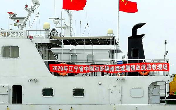 達(dá)蓮公司完成了2020年度省中國(guó)對(duì)蝦增殖放流任務(wù)