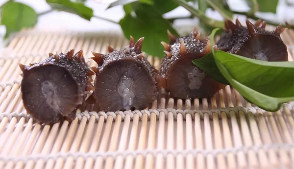 海參泡發(fā)不大的原因